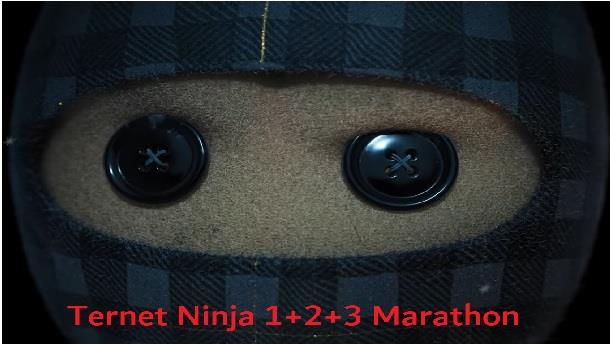 Ternet Ninja Marathon - Hadsten Bio